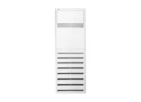 LG CLIMATISEUR ARMOIR 36000 BTU - AP-W36GT3S1