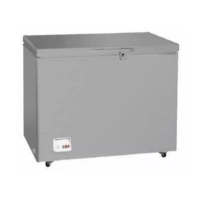 DYM370S CONGELATEUR HORIZONTAL ARCODYM SILVER 370L - 0