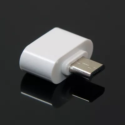 602_Mini Mini adaptateur OTG - USB 2.0 / Micro-USB - 2