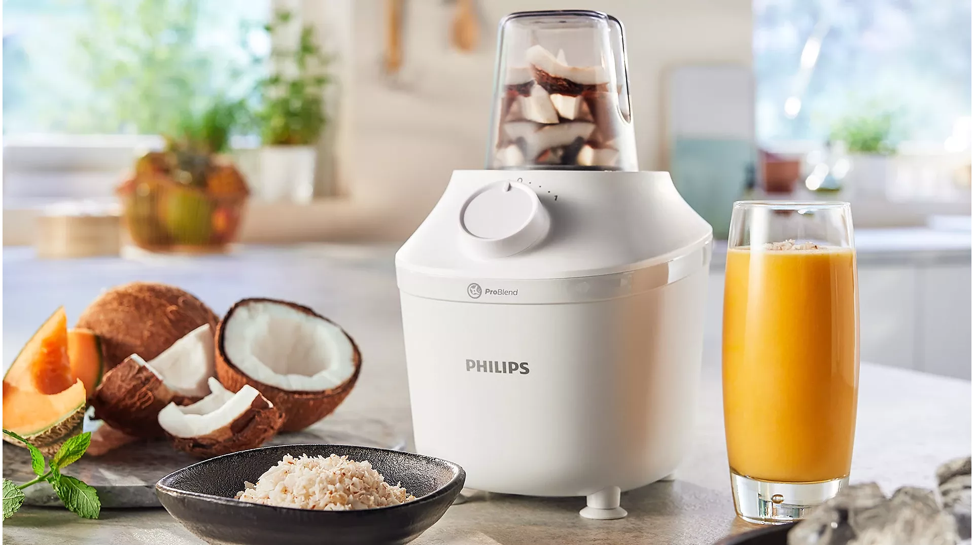 HR2041/30 Blender Philips ProBlend +2 ACC 450W 1.9L - 8